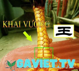 Thủy Khải Vương