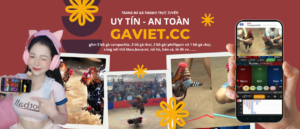 nhà cái uy tín số 1 hiện nay