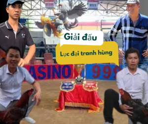 giải đá gà thomo lục đại tranh hùng